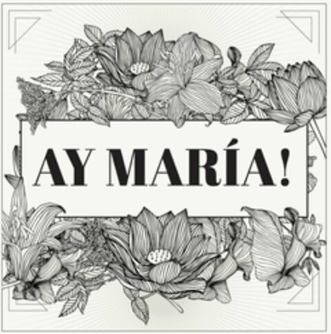 AY MARIA! Logo (USPTO, 08.07.2020)