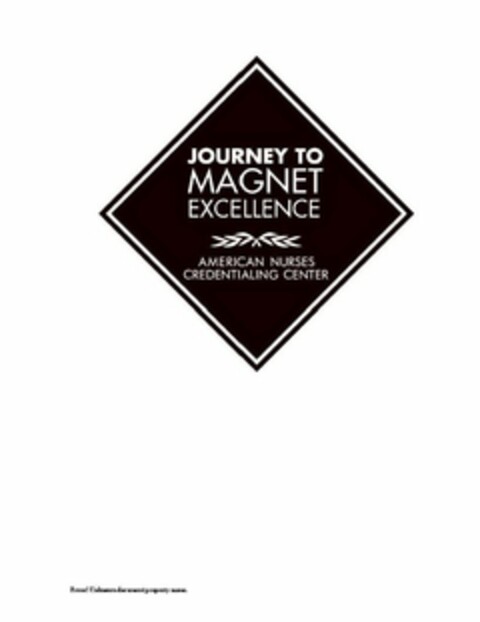 JOURNEY TO MAGNET EXCELLENCE AMERICAN CREDENTIALING CENTER Logo (USPTO, 09/16/2010)