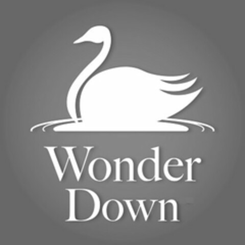 WONDER DOWN Logo (USPTO, 14.11.2013)