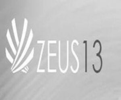 ZEUS 13 Logo (USPTO, 15.02.2018)