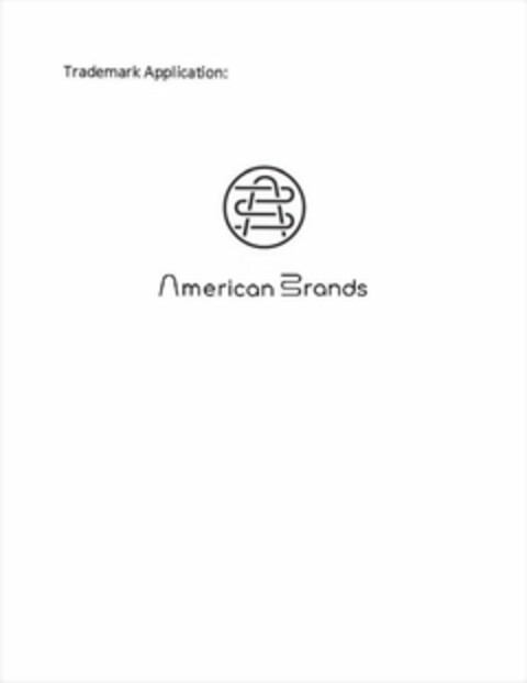 AMERICAN BRANDS Logo (USPTO, 17.06.2019)