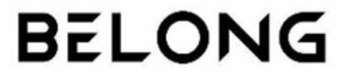 BELONG Logo (USPTO, 30.07.2020)