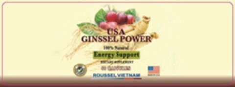 USA GINSSEL POWER 100% NATURAL ENERGY SUPPORT DIETARY SUPPLEMENT · USA · FOOD STANDARDS 60 CAPSULES ROUSSEL VIETNAM MADE IN U.S.A. Logo (USPTO, 08/07/2020)