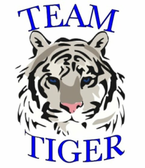 TEAM TIGER Logo (USPTO, 06/22/2010)