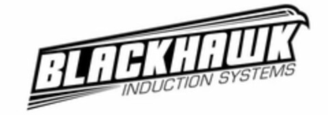 BLACKHAWK INDUCTION SYSTEMS Logo (USPTO, 06/13/2013)