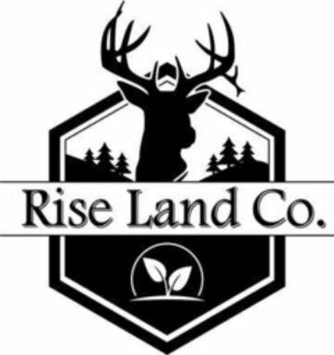 RISE LAND CO. Logo (USPTO, 09.02.2019)