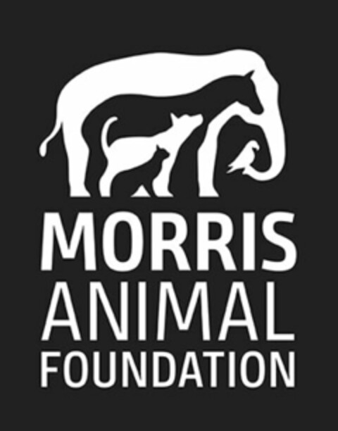 MORRIS ANIMAL FOUNDATION Logo (USPTO, 07.11.2019)