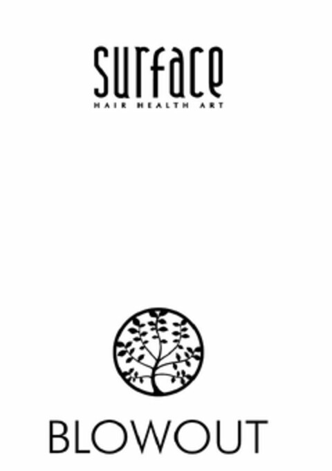 SURFACE HAIR HEALTH ART BLOWOUT Logo (USPTO, 31.07.2020)