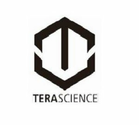 TERASCIENCE Logo (USPTO, 09/09/2020)