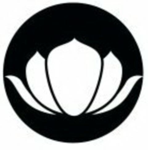  Logo (USPTO, 24.11.2010)