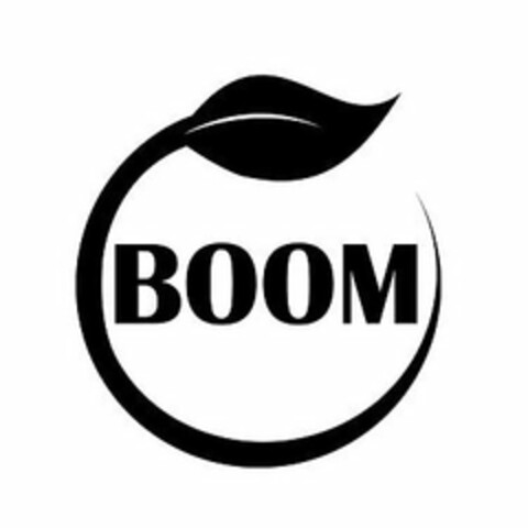 BOOM Logo (USPTO, 10.03.2014)