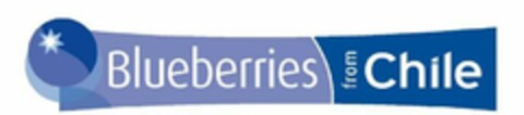 BLUEBERRIES FROM CHILE Logo (USPTO, 26.06.2014)