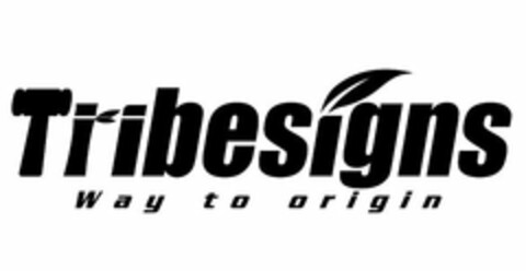 TRIBESIGNS WAY TO ORIGIN Logo (USPTO, 21.06.2016)
