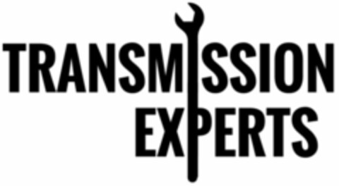 TRANSMISSION EXPERTS Logo (USPTO, 06.01.2017)