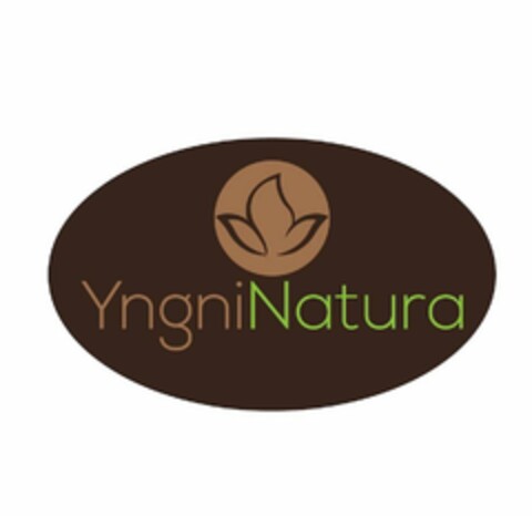 YNGNINATURA Logo (USPTO, 29.03.2018)