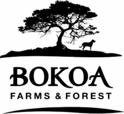 BOKOA FARMS & FOREST Logo (USPTO, 12.10.2018)