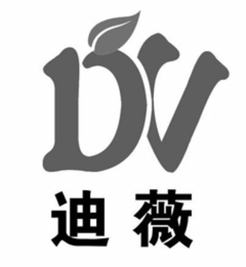 DV Logo (USPTO, 02.08.2019)