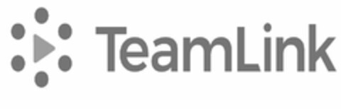 TEAMLINK Logo (USPTO, 01/23/2020)