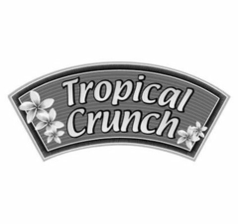 TROPICAL CRUNCH Logo (USPTO, 06/04/2020)