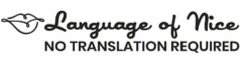 LANGUAGE OF NICE NO TRANSLATION REQUIRED Logo (USPTO, 30.01.2019)