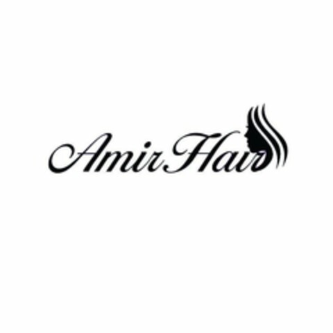 AMIR HAIR Logo (USPTO, 22.07.2020)