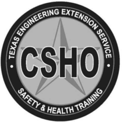 TEXAS ENGINEERING EXTENSION SERVICE CSHO SAFETY & HEALTH TRAINING Logo (USPTO, 05/10/2010)