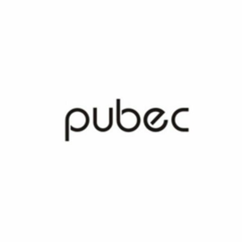 PUBEC Logo (USPTO, 26.12.2017)