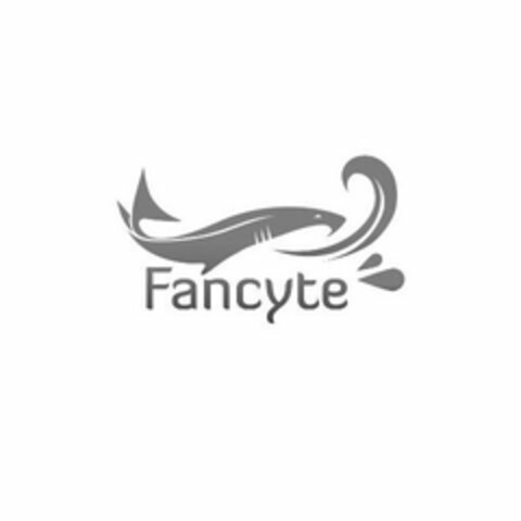 FANCYTE Logo (USPTO, 05.03.2020)