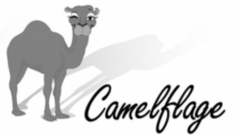 CAMELFLAGE Logo (USPTO, 07.06.2009)