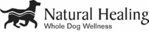 NATURAL HEALING WHOLE DOG WELLNESS Logo (USPTO, 13.07.2009)