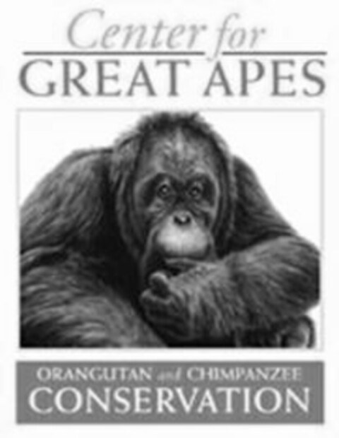 CENTER FOR GREAT APES ORANGUTAN AND CHIMPANZEE CONSERVATION Logo (USPTO, 17.05.2010)