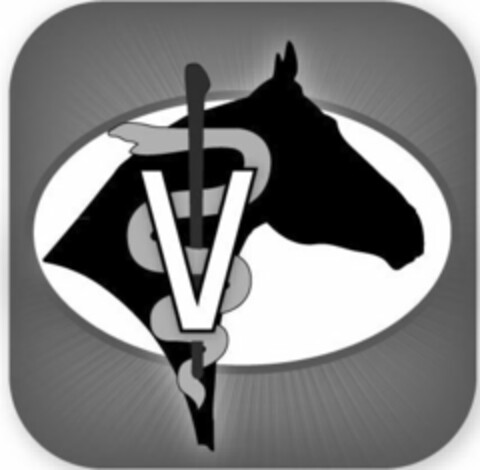 V Logo (USPTO, 31.08.2011)