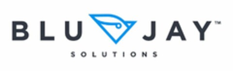 BLU JAY SOLUTIONS Logo (USPTO, 18.01.2017)