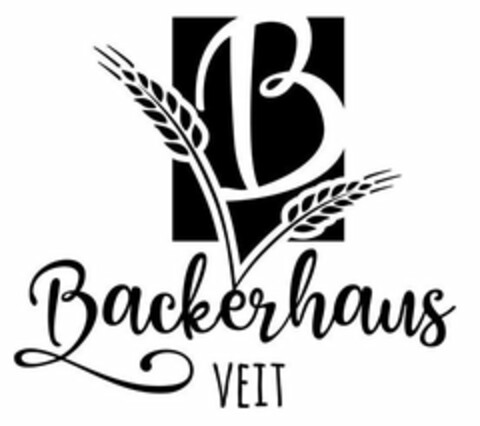 B BACKERHAUS VEIT Logo (USPTO, 30.04.2020)