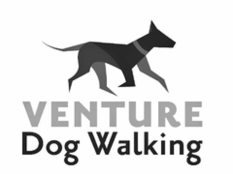 VENTURE DOG WALKING Logo (USPTO, 20.05.2020)