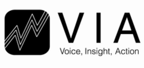 VIA VOICE, INSIGHT, ACTION Logo (USPTO, 10.01.2011)