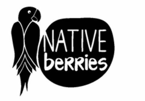 NATIVE BERRIES Logo (USPTO, 31.05.2015)