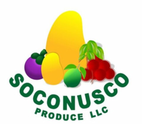 SOCONUSCO PRODUCE LLC Logo (USPTO, 09/05/2016)