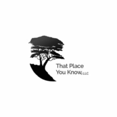 THAT PLACE YOU KNOW, LLC Logo (USPTO, 24.10.2016)