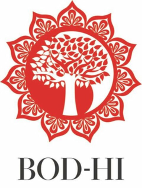 BOD-HI Logo (USPTO, 11.09.2018)