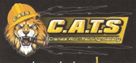 C.A.T.S C.A.T.S CRANES ACC TRAINING SAFETY Logo (USPTO, 08.02.2019)