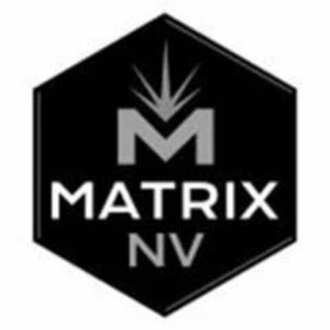 M MATRIX NV Logo (USPTO, 02/13/2019)