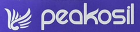 PEAKOSIL Logo (USPTO, 09.05.2019)