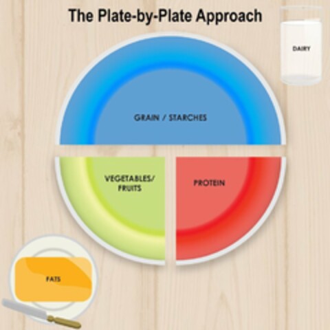 THE PLATE-BY-PLATE APPROACH DAIRY GRAIN/ STARCHES VEGETABLES /FRUITS PROTEIN FATS Logo (USPTO, 04.12.2019)