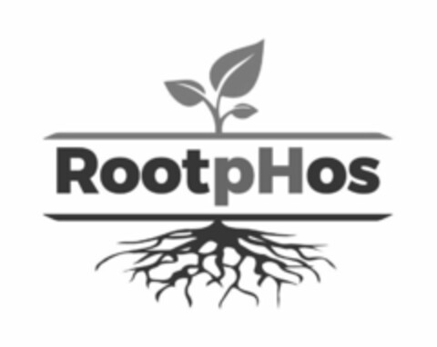 ROOTPHOS Logo (USPTO, 25.03.2020)