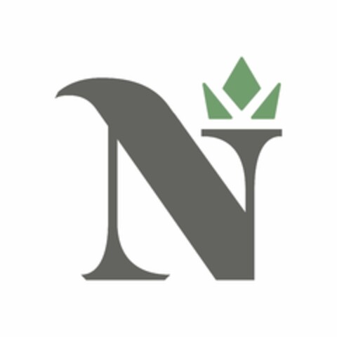 N Logo (USPTO, 08.04.2020)