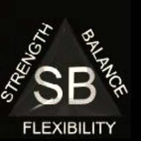 STRENGTH BALANCE FLEXIBILITY Logo (USPTO, 08.12.2010)