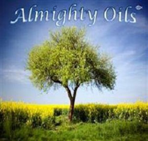 ALMIGHTY OILS Logo (USPTO, 14.08.2009)