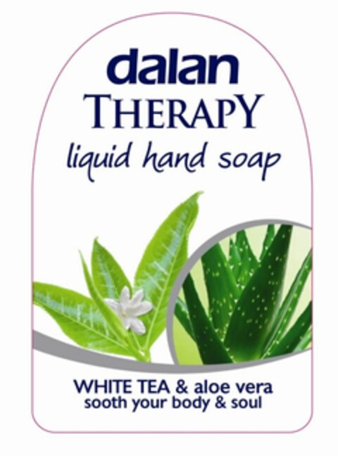 DALAN THERAPY LIQUID HAND SOAP WHITE TEA & ALOE VERA SOOTH YOUR BODY & SOUL Logo (USPTO, 04/08/2011)