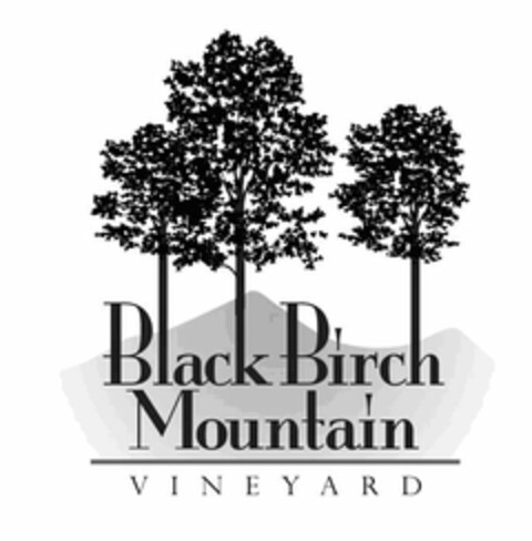 BLACK BIRCH MOUNTAIN VINEYARD Logo (USPTO, 07/21/2011)